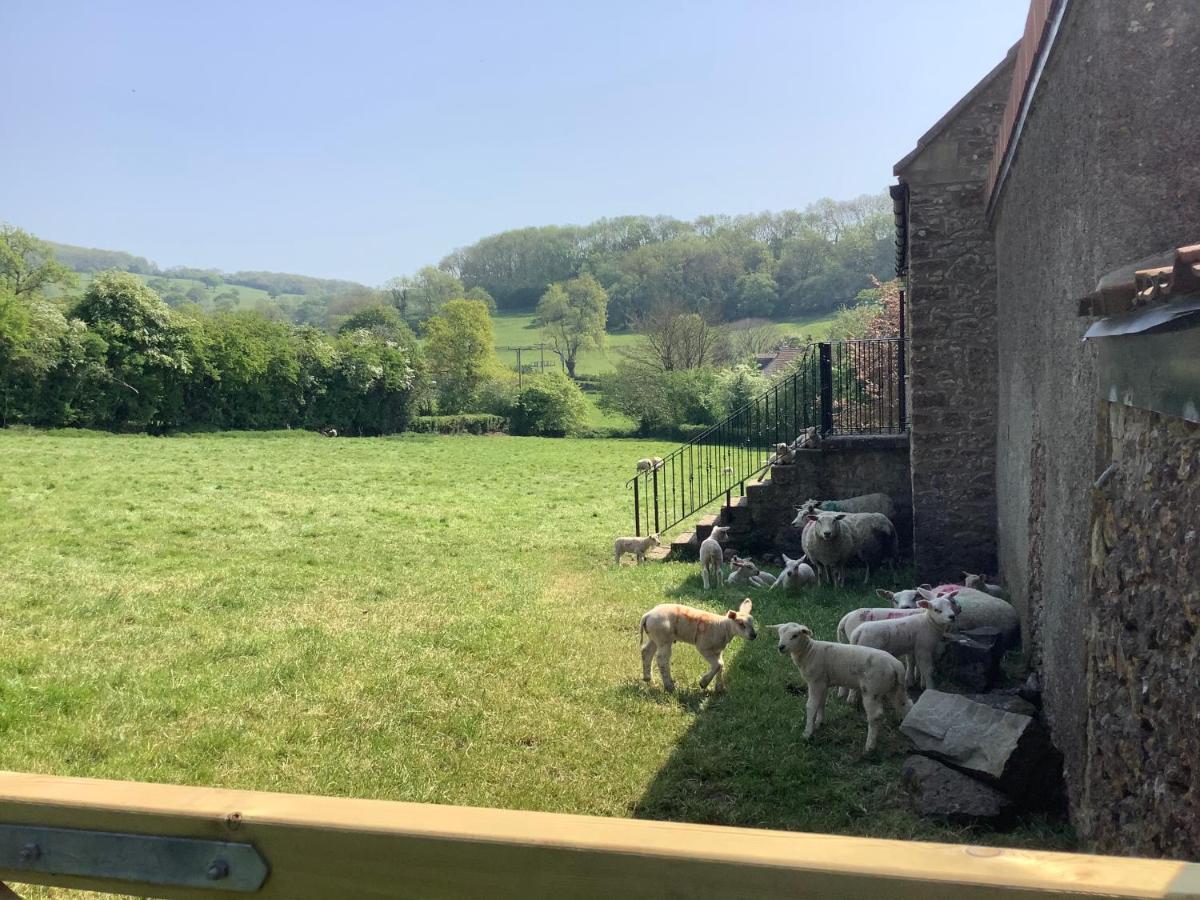 Vila Hayloft Cheddar Exteriér fotografie